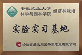 安農(nóng)大實驗實習基地